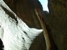 photo thumbnail #11