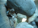 photo thumbnail #14