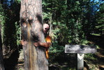 photo thumbnail #2