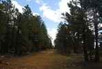 photo thumbnail #9