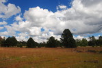 photo thumbnail #12