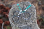 photo thumbnail #15