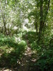 photo thumbnail #15