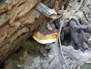 photo thumbnail #14