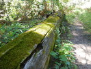 photo thumbnail #13