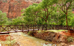 photo thumbnail #8