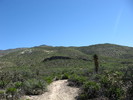 photo thumbnail #1
