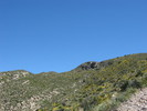 photo thumbnail #6