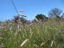 photo thumbnail #13