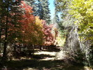 photo thumbnail #8