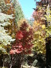 photo thumbnail #10