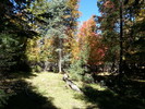 photo thumbnail #11