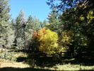 photo thumbnail #14