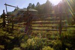 photo thumbnail #2