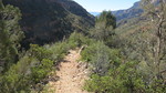 photo thumbnail #2