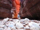 photo thumbnail #11