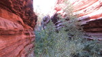 photo thumbnail #13