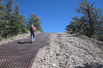 photo thumbnail #6