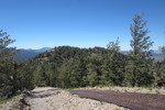 photo thumbnail #7