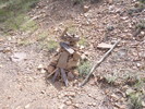 photo thumbnail #13