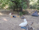 photo thumbnail #15