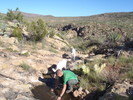 photo thumbnail #8