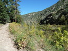 photo thumbnail #14