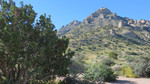 photo thumbnail #14
