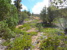 photo thumbnail #14