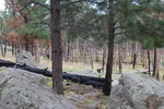 photo thumbnail #3