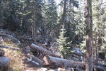 photo thumbnail #2