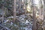 photo thumbnail #3