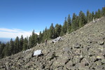 photo thumbnail #11