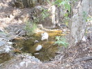 photo thumbnail #5
