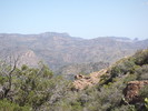 photo thumbnail #8