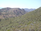 photo thumbnail #10