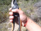 photo thumbnail #13