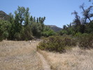photo thumbnail #8