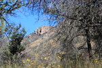 photo thumbnail #8