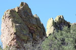 recent photo