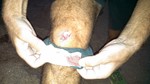 photo thumbnail #3