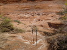 photo thumbnail #10