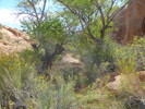 photo thumbnail #11