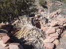 photo thumbnail #7