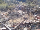 photo thumbnail #12