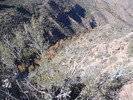 Featured Full Photo