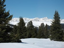 recent photo