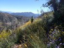 photo thumbnail #7