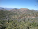 photo thumbnail #6