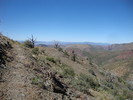 photo thumbnail #9
